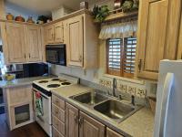 1991 Skyline Sun Haven Mobile Home