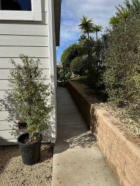 2025 Skyline M201C Mobile Home