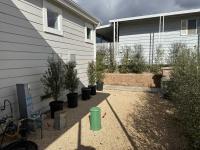 2025 Skyline M201C Mobile Home