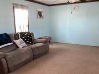 2014 Skyline 11390282G Mobile Home