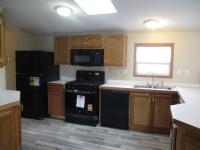 1996 Skyline na Mobile Home