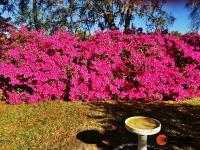 1981 SHER Mobile Home