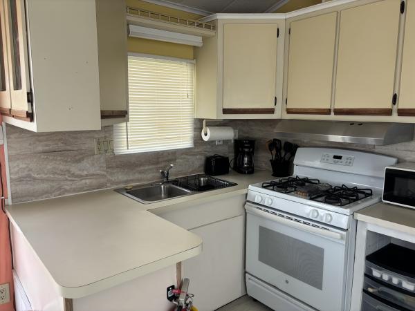 1981 ECHO  Home