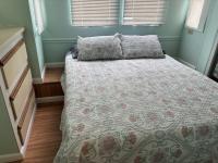 1981 ECHO  Home