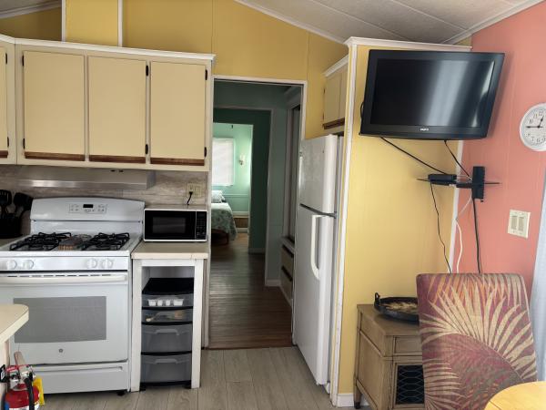 1981 ECHO  Home