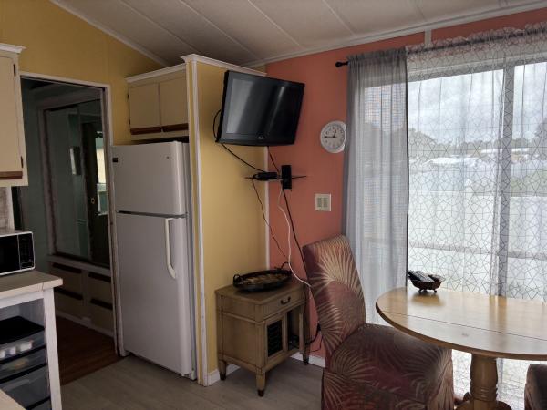 1981 ECHO  Home