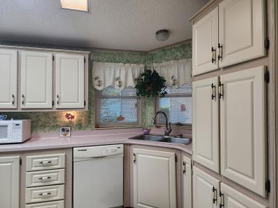 Photo 3 of 12 of home located at 54 Tropical Falls Dr Ormond Beach, FL 32174