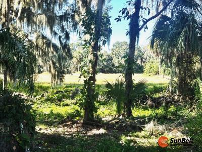 Photo 2 of 16 of home located at 11C Cocos Plumosa Drive Eustis, FL 32726