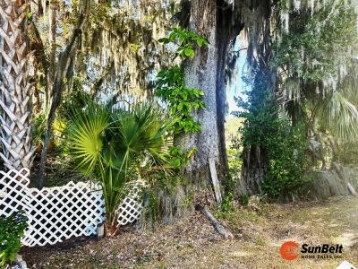 Photo 3 of 16 of home located at 11C Cocos Plumosa Drive Eustis, FL 32726