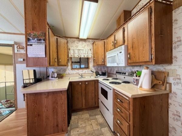 1987 Skyline Manufactured Home