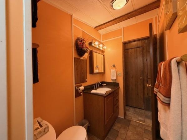 1987 Skyline Manufactured Home