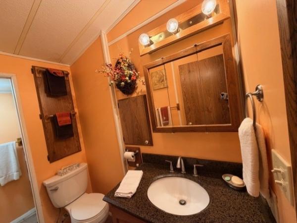 1987 Skyline Manufactured Home