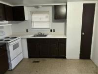 1973 SKYLINE Manufactured Home