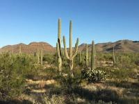 2007 Cavco Summer Sizzler Mobile Home