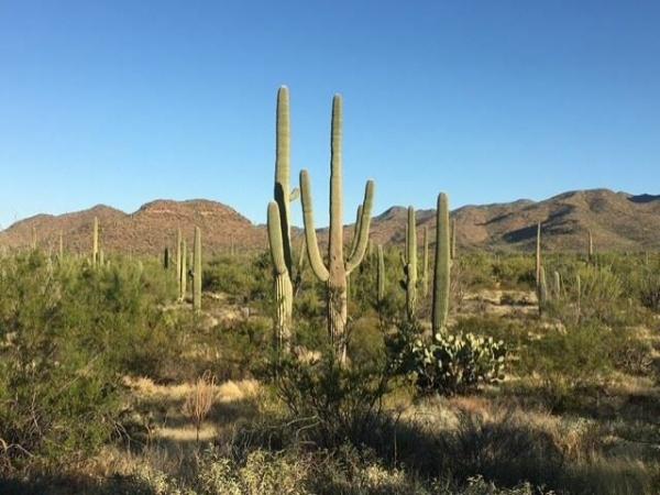 2007 Cavco Summer Sizzler Mobile Home