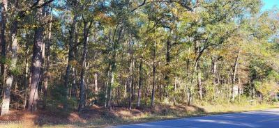 Photo 3 of 4 of home located at 407 Wade Hampton Rd Hampton, SC 29924