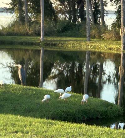 Photo 4 of 14 of home located at 7239 Harbor View Dr Leesburg, FL 34788