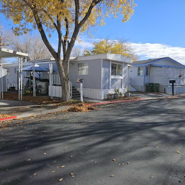 1980 Skyline Mobile Home For Sale