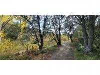 1978 Catalina Catalina Manufactured Home