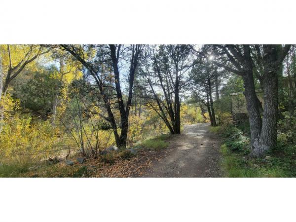 1978 Catalina Catalina Manufactured Home