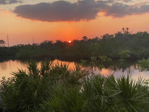 1995 SUMM 1995 Mobile Home