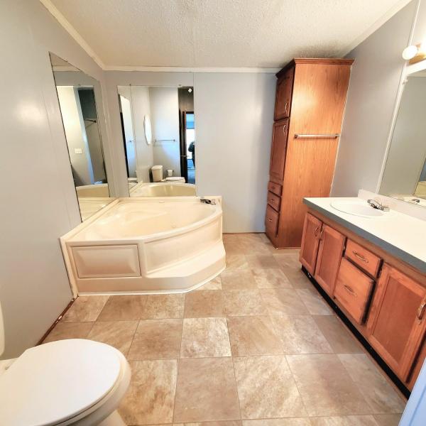 1998 Skyline Lexington Mobile Home