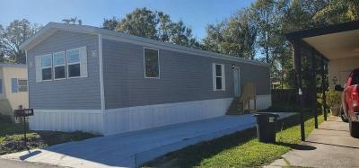 Mobile Home at 241 Palm Drive Tampa, FL 33613