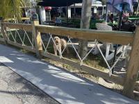 1999 LANCASTER Mobile Home