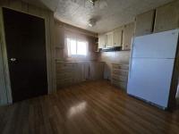 1974 Skyline Manufactured Home