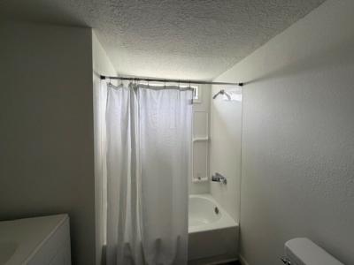 Photo 4 of 7 of home located at 88 Ivey Lane Lot Il88 Paisley, FL 32767