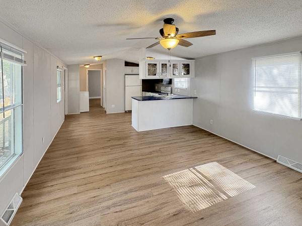 1996 Skyline Mobile Home