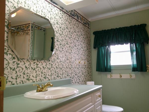 1979 Brighton Manor 24X56 Mobile Home