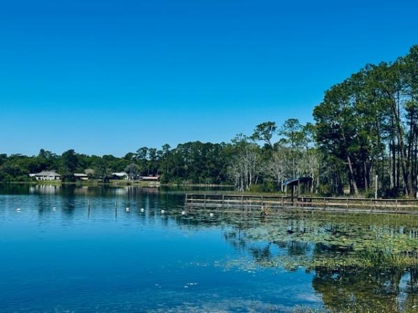 1973 Bayp Mobile Home