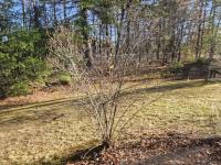 1979 Holiday 52-24 Mobile Home