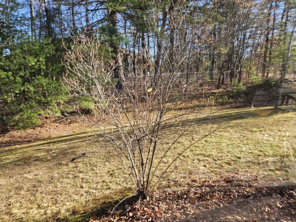 1979 Holiday 52-24 Mobile Home