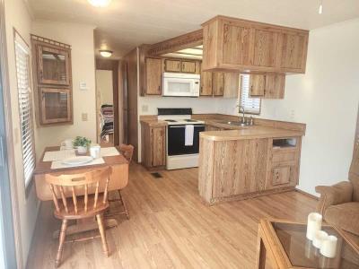 Photo 3 of 17 of home located at 1150 N Delaware Drive, Lot 114 Apache Junction, AZ 85120