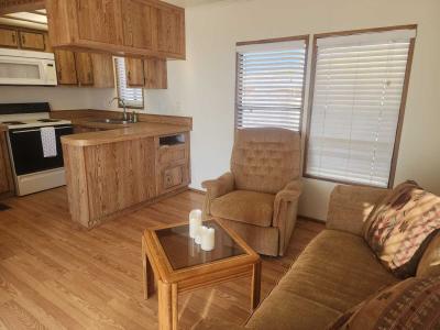 Photo 4 of 17 of home located at 1150 N Delaware Drive, Lot 114 Apache Junction, AZ 85120