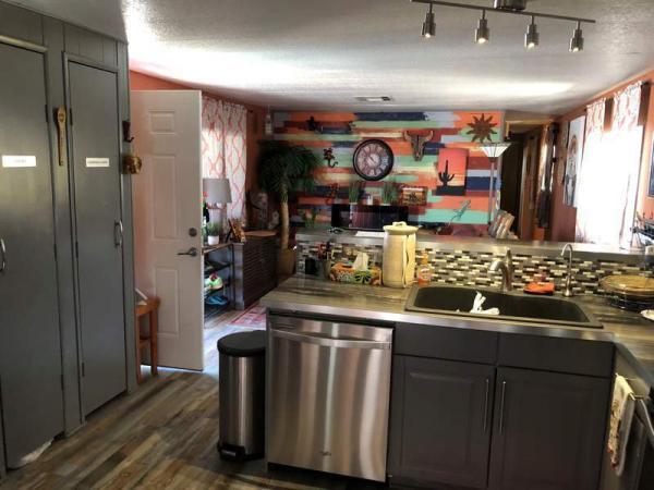 1982 Skyline Manufactured Home