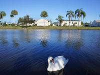 2025 Skyline - Ocala Clearwater Mobile Home