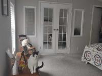 1998 Dutch Park Manufactured Home