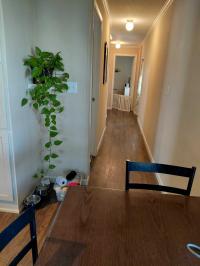 2016 Champion hs Mobile Home