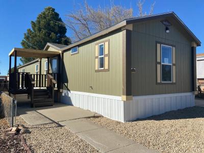 Mobile Home at 1317 Lynx Trail Lot Lt1317 Las Cruces, NM 88001