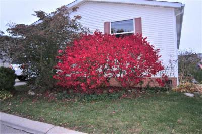 Photo 2 of 17 of home located at 8104 Bloomsbury Circle Northville, MI 48167