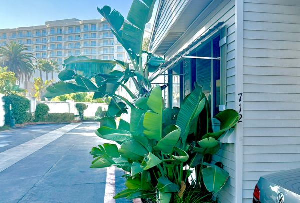 Skyline Mobile Home For Sale