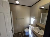 2018 Champion Dutch Diamond  Home