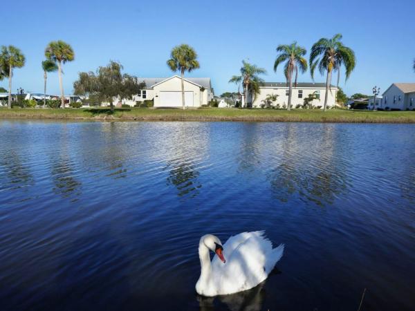 2025 Skyline - Ocala Silver Springs Mobile Home