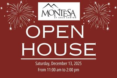 Mobile Home at 7373 East Us Highway 60, 24 Gold Canyon, AZ 85118