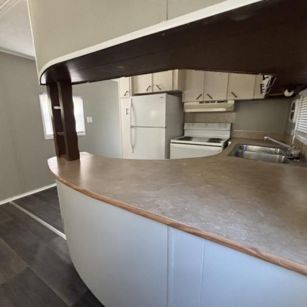 1966 Parkwood Homes  Home