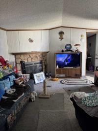 1993 Astro Cedarbrook Mobile Home