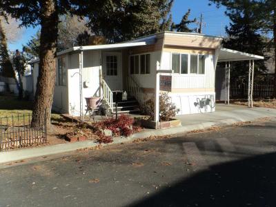 Photo 2 of 15 of home located at 330 A Street Carson City, NV 89706